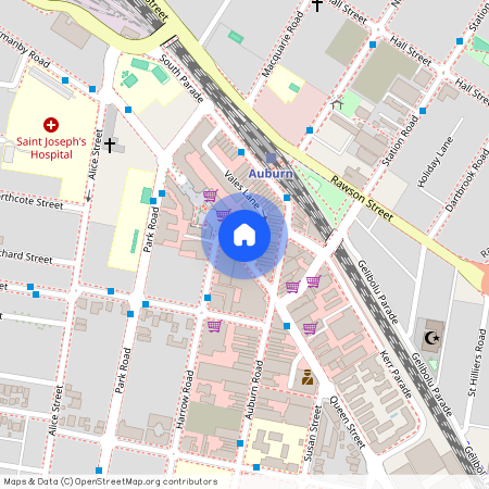 2603/57 Queen Street, NSW 2144, Auburn