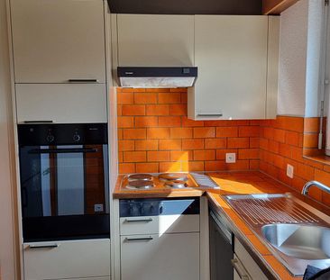 Charmante 2½-Zimmer-Wohnung mit Balkon und Cheminée in Luzern - Photo 3