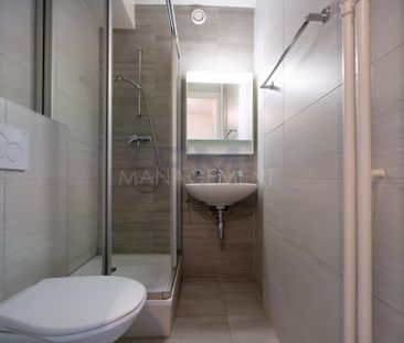 Eaux-Vives – Rue Zurlinden – 2 rooms on the 3rd floor, approx 35m2 - Foto 6