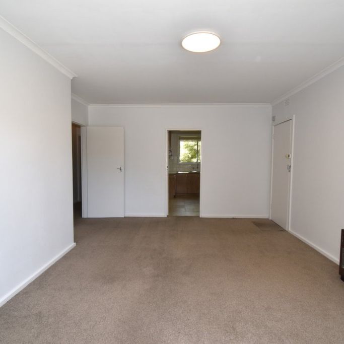 Spacious Apartment & Great Location - Photo 1