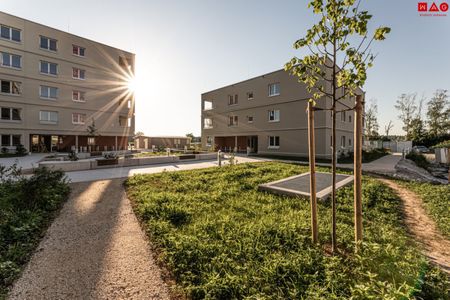 Naturnahes Wohnen in Gunskirchen - geförderte Mietwohnungen in moderner Hybridbauweise - Foto 5