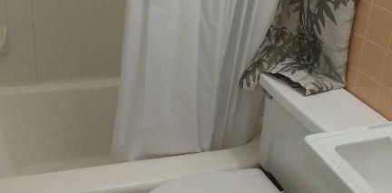 1 1/2 (620$/mois), à louer, PARC MYRAND, 2 pas Univ. Laval et CEGEP, près de tout service, AUBAINE, Tranquillité absolue - Photo 2