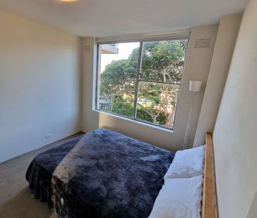 Neutral Bay - Photo 3