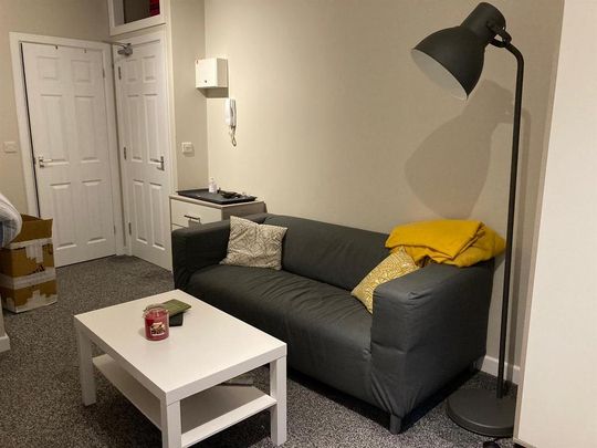 1 bedroom private hall to rent - Photo 1