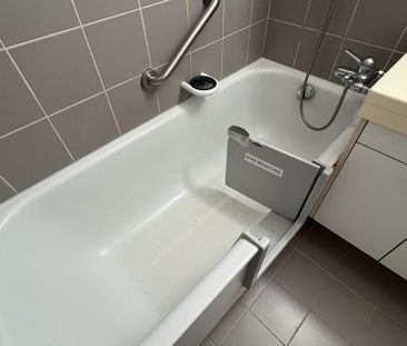 An der Stadtgrenze zu Allschwil - Photo 4