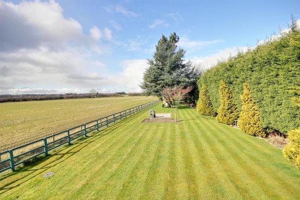 4 bedroom house to rent - Photo 1