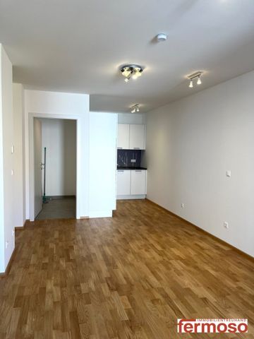 GARTENWOHNUNG am Kagraner Platz - gemütliche 2-Zimmer Wohnung mit Balkon und Garten zur Alleinnutzung - Photo 5