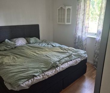 Gamla Halasjövägen, Trensum - Photo 3