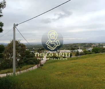 Διαμέρισμα για ενοικίαση Κέντρο (Μαρκόπουλο) - Photo 6