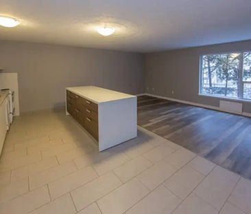 1904 Paris Street | 1904 Paris Street, Sudbury - Photo 1
