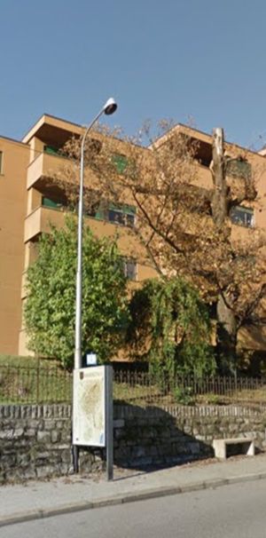 Via Tesserete 45, 6900, Massagno - Foto 2