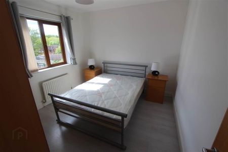 12 Annadale Mews, Off Annadale Embankment, Belfast, BT7 3LR - Photo 5