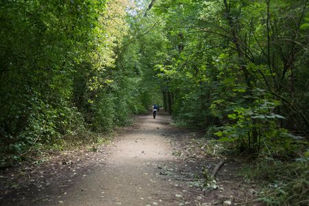 Te huur: Huis Geinoord in Nieuwegein - Foto 3