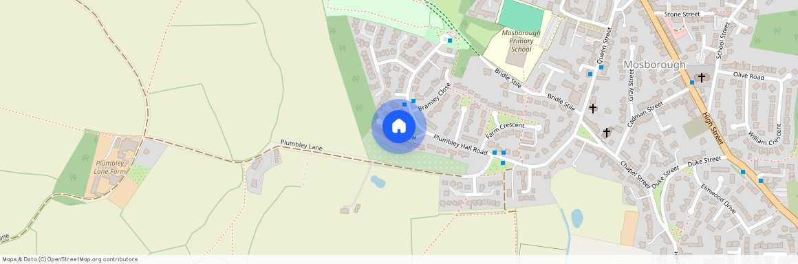 Moss View, Mosborough, S20