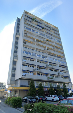 Spacious duplex in a central location in St. Margrethen - Photo 4