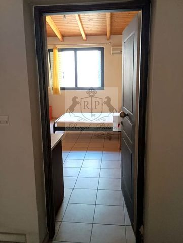 Studio/Γκαρσονιέρα για ενοικίαση Καλλιθέα (Αίγιο) - Photo 4