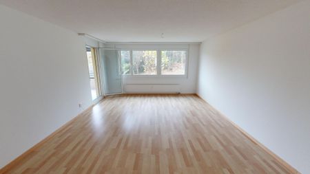 3.5 Zimmer-Wohnung an ruhiger Lage - Photo 2