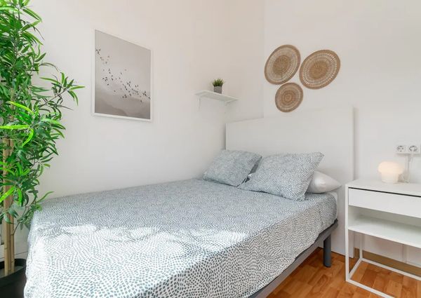 Ronda de la Universitat, Barcelona, Catalonia 08007