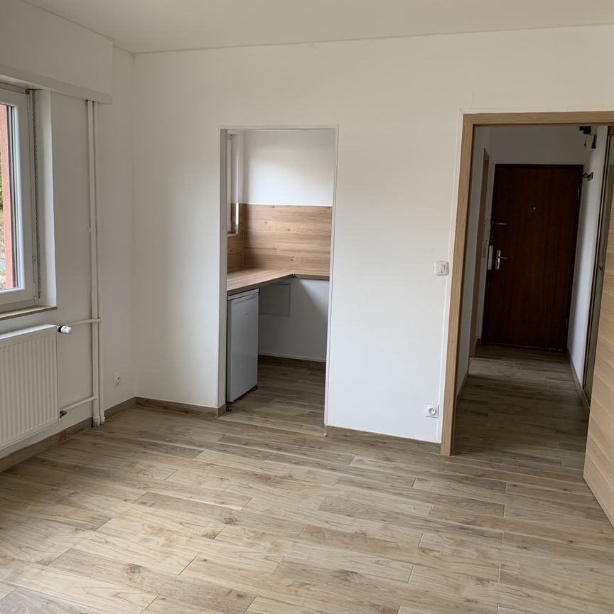 Location Appartement 2 pièces 36m² SARREGUEMINES 57200 - Photo 1