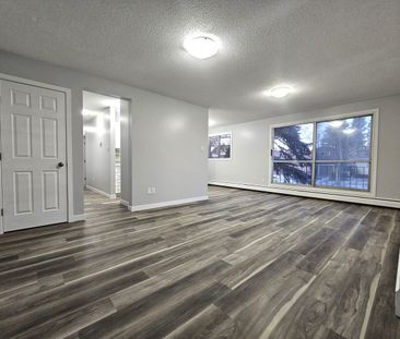AMAZING FULLY RENO'D Apartment in Lacombe! CATS OK! - Photo 3