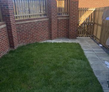 4 bedroom house share to rent - Photo 5