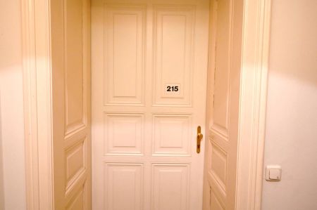 Komfortables Wohnen mit Geschichte – 1-Zimmer-Wohnung mit Donaublick in Linz Urfahr - Foto 2