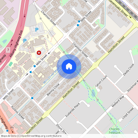 34 Blenny Close, WA 6107, Cannington