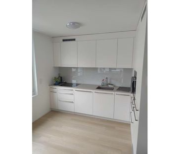 2½ Zimmer-Wohnung in Dübendorf (ZH), möbliert, auf Zeit - Foto 2