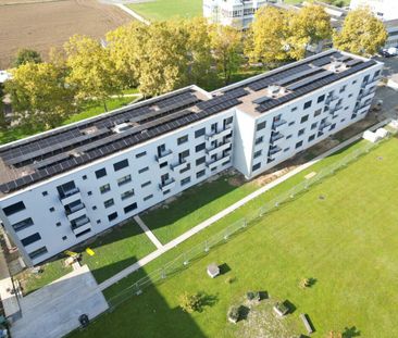 "Moderne Wohnungen in sanierter Liegenschaft im Längi-Quartier" - Photo 3