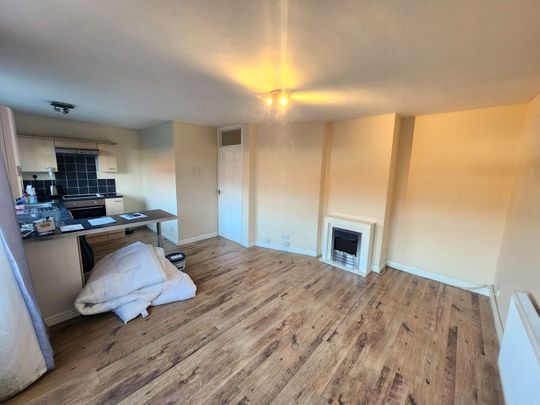 Holly Bush Lane, Stourbridge, DY8 4HH - Photo 1