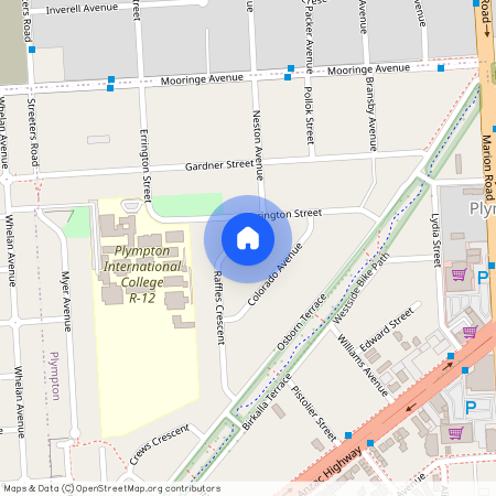 19 Raffles Crescent, SA 5038, Plympton