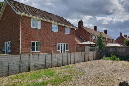 Norwich Road, Tacolneston, NORWICH - Photo 3