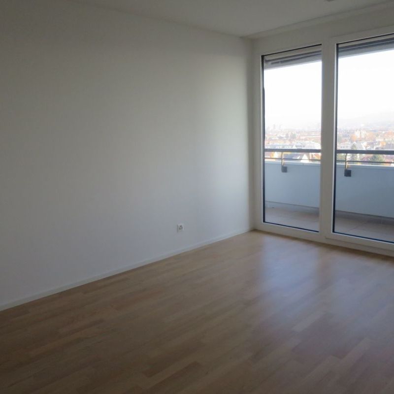 3.5-Zimmerwohnung mit Blick über Allschwil - Photo 1