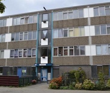 Spinaker, 1034 MD Amsterdam, Nederland - Foto 2