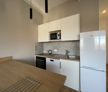 APPARTEMENT T2 A LOUER LYON 1ER ARRONDISSEMENT Griffon-Royale - Photo 5