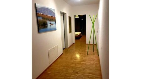 3½ Zimmer-Wohnung in Zürich - Kreis 3 Binz, möbliert, auf Zeit - Photo 3