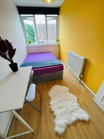 Room in a Shared Flat, Amazing Double Room In Battersea, SW8 - Photo 2