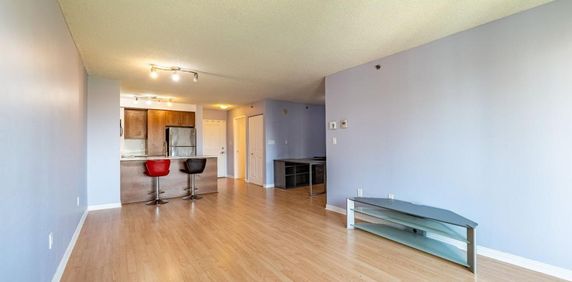 1 Bedroom - 1280 Rue Saint-Jacques, Montréal - Photo 2