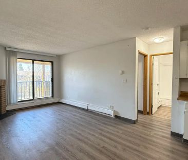 Castleview — Classic 1 Bed 1 Bath - Spacious - HEAT & WATER INCLUDE... - Photo 5