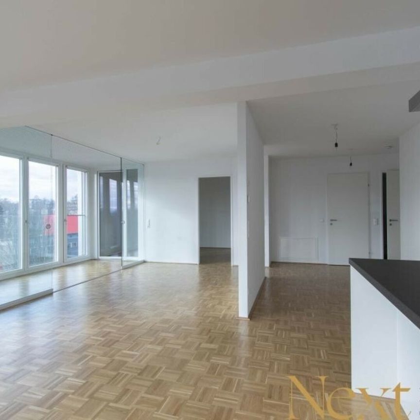 Moderne 2-Zimmer-Loftwohnung mit großzügiger Südterrasse in Linz nähe WIFI zu vermieten! (Top 52) - Foto 1