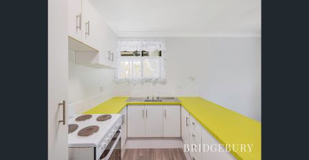 BEACHSIDE UNIT IN BUDDINA! - Photo 5