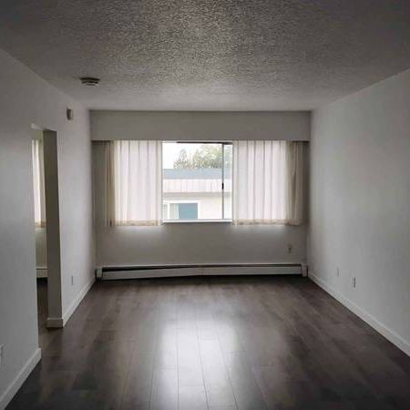 Studio Apartment For Rent - Photo 3