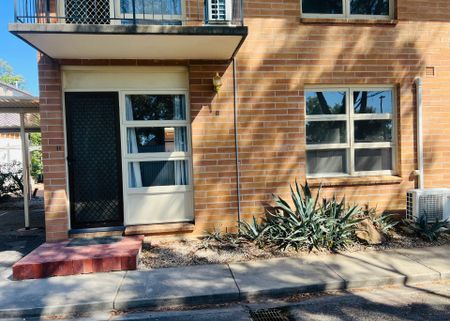 One Bedroom Cutie! - Photo 5