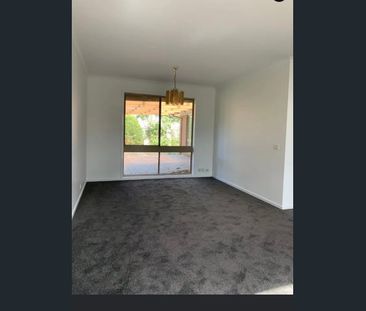 Spacious living in a quiet court location with easy access to Woodg... - Photo 5