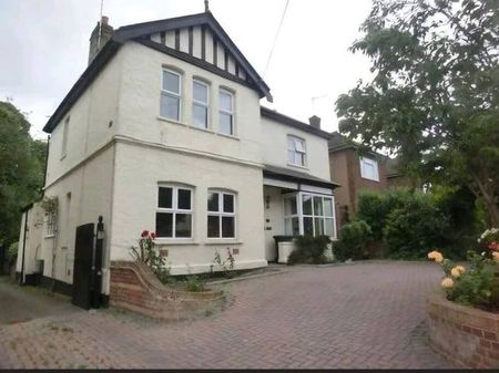 Whitehill Road - Photo 4