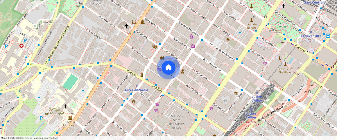 1411 Mackay, Montréal, QC