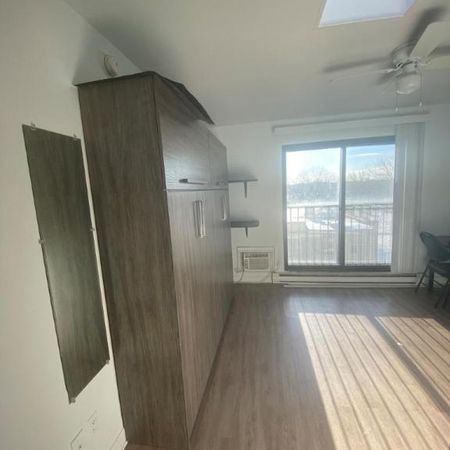 1 1/2 - Montréal (La Petite-Patrie) - 950 $/mois - Photo 3