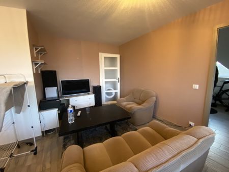 Location Appartement 3 pièces 55m² ST LOUIS 68300 - Photo 5