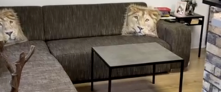 Souterrainwohnung - Foto 1