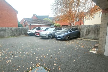 Blackbird Drive - Photo 3